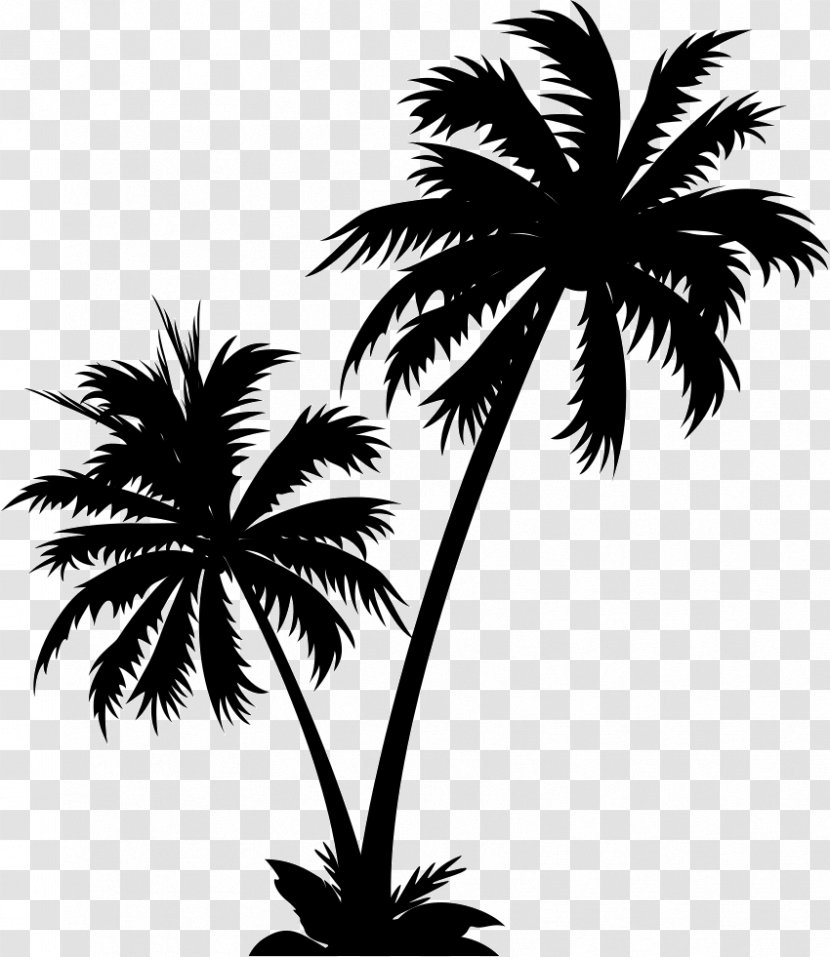 Vector Graphics Palm Trees Clip Art Illustration Royalty-free - Istock - Cameo Pulau Transparent PNG