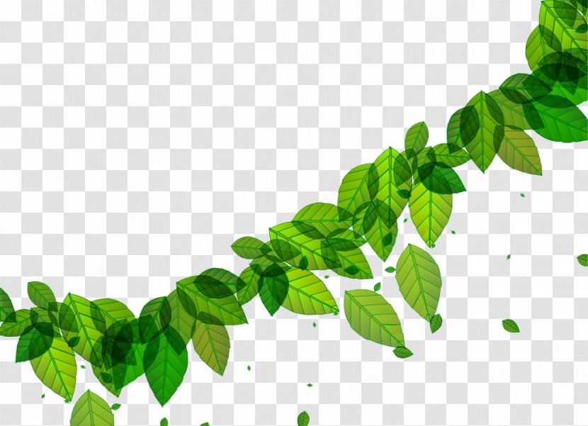 Paper Brochure Flyer - Ivy - Green Leaves Transparent PNG