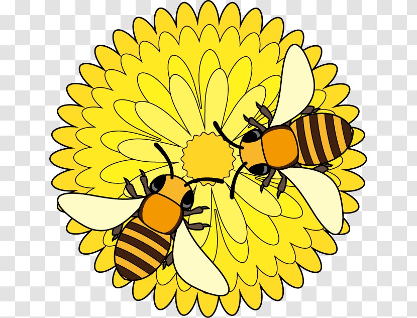 Honey Bee Monarch Butterfly Insect Clip Art - Floral Design Transparent PNG