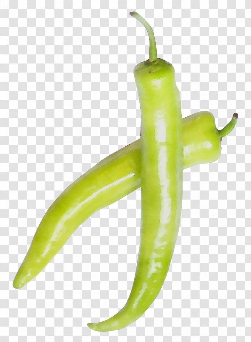 Serrano Pepper Bird's Eye Chili Pasilla Yellow Cayenne - Bell Peppers And - Plant Transparent PNG