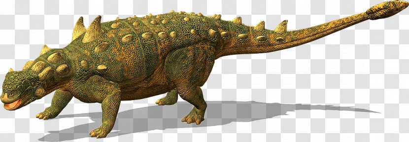 Tyrannosaurus Ankylosaurus Euoplocephalus Velociraptor Parksosaurus - Animal - Dinosaur Transparent PNG