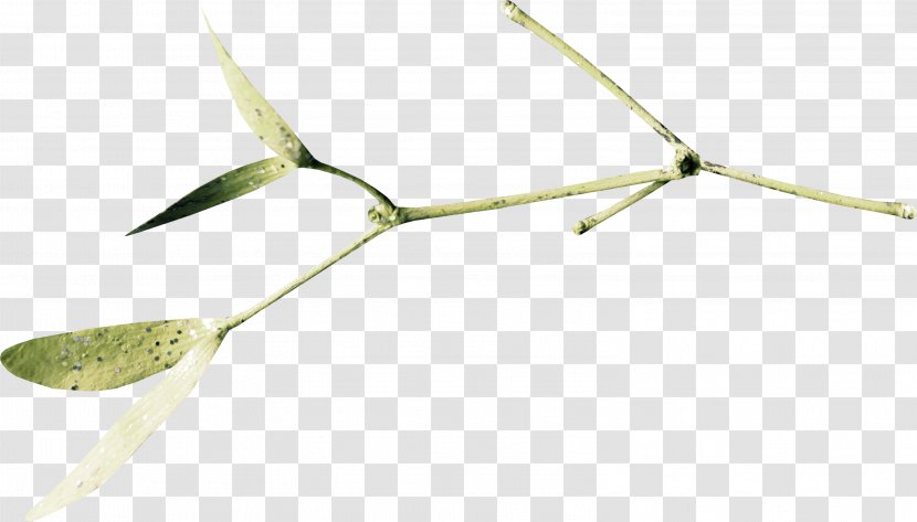Twig Material Energy - Green Leaves Transparent PNG