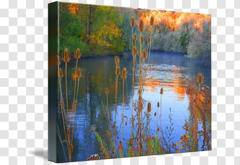 Painting Bayou Acrylic Paint Gallery Wrap Wetland - Art Transparent PNG