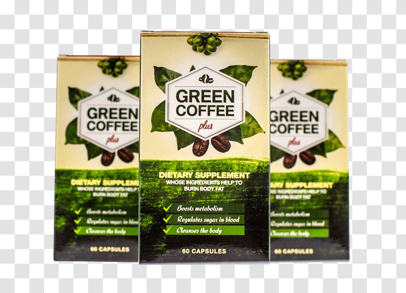 Green Coffee Extract Dietary Supplement Weight Loss - Berry Transparent PNG