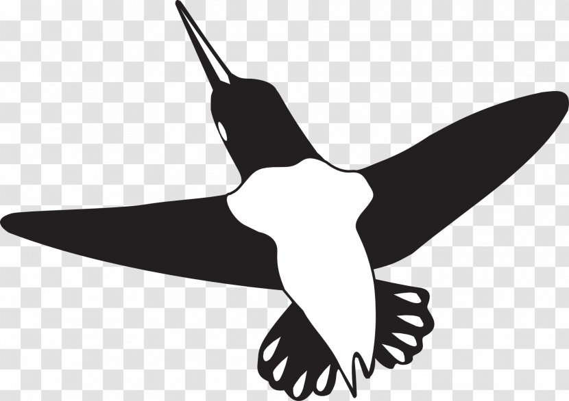 Beak Hummingbird Wing Clip Art - Animal - Bird Transparent PNG