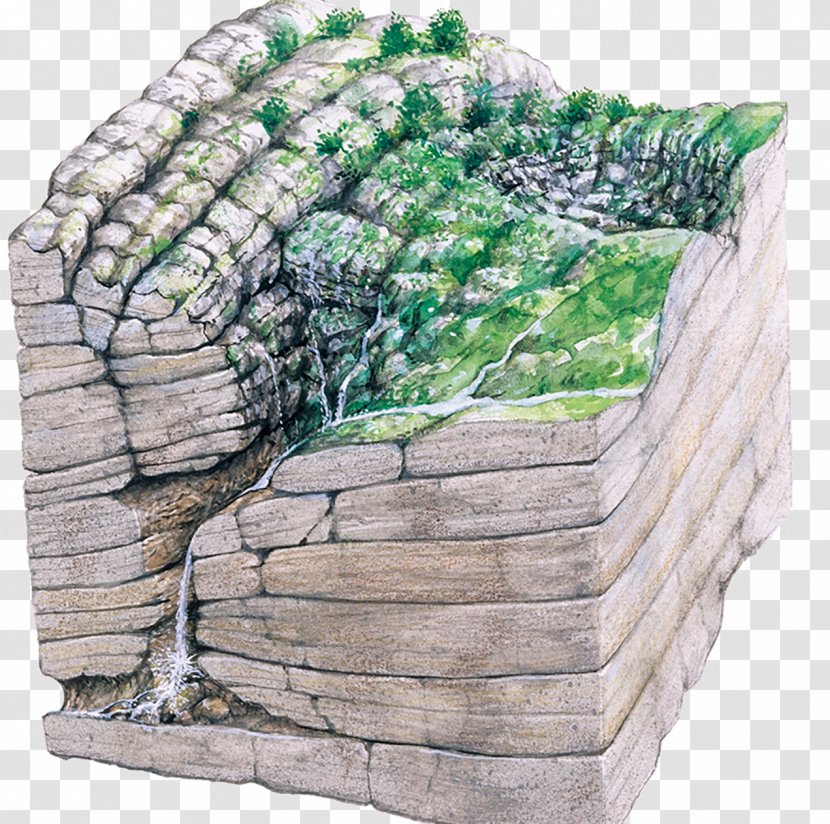 Gouffre Berger Cave Limestone Geology Illustration - Photography - Rock Forest Transparent PNG