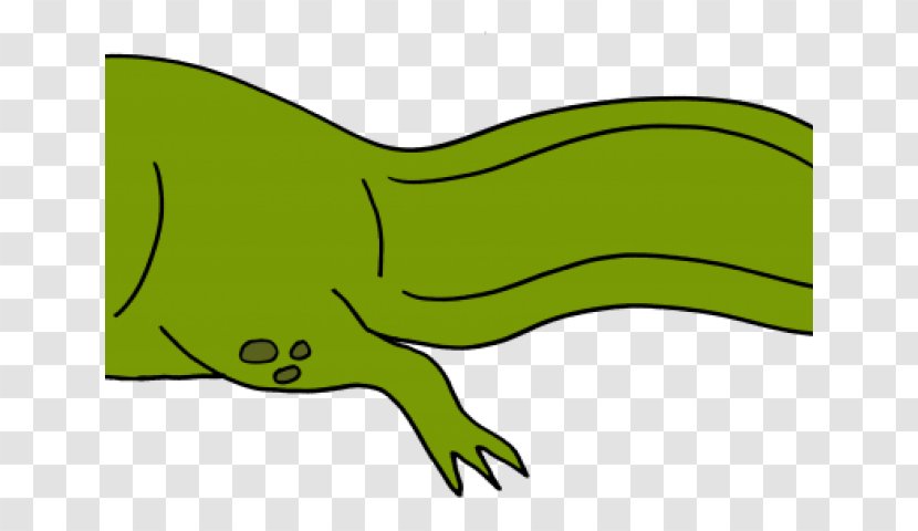 Alligator Cartoon - Tail - Crocodilia Transparent PNG