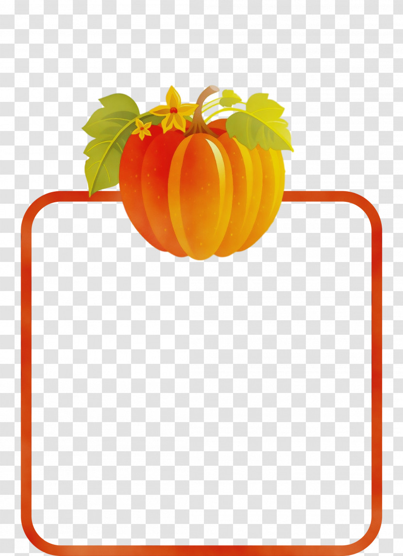 Winter Squash Calabaza Squash Flower Fruit Transparent PNG