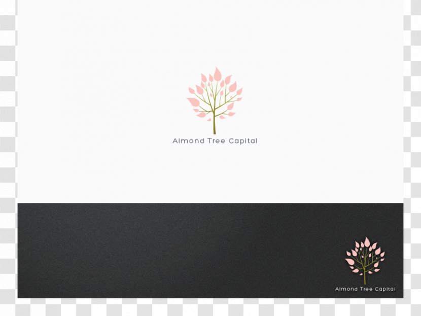 Logo Font Brand Desktop Wallpaper Computer - Acceleration Banner Transparent PNG