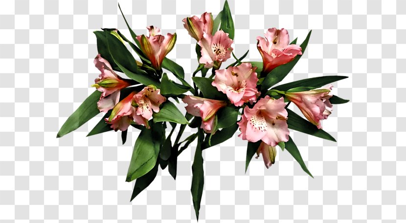 Lily Of The Incas Floral Design Cut Flowers Flower Bouquet - Asiatic Transparent PNG