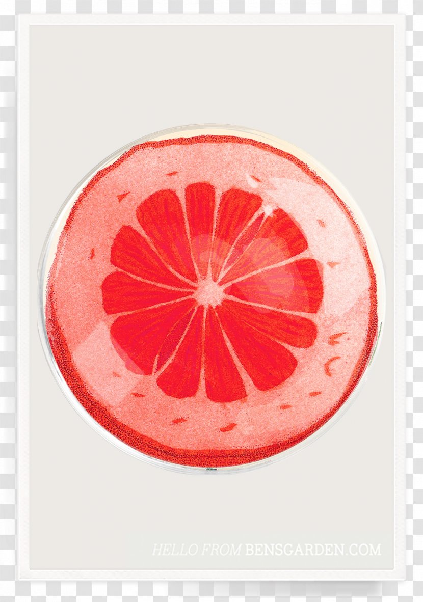 Ben's Garden Glass Decoupage Grapefruit Tray - Orange - Blood Transparent PNG