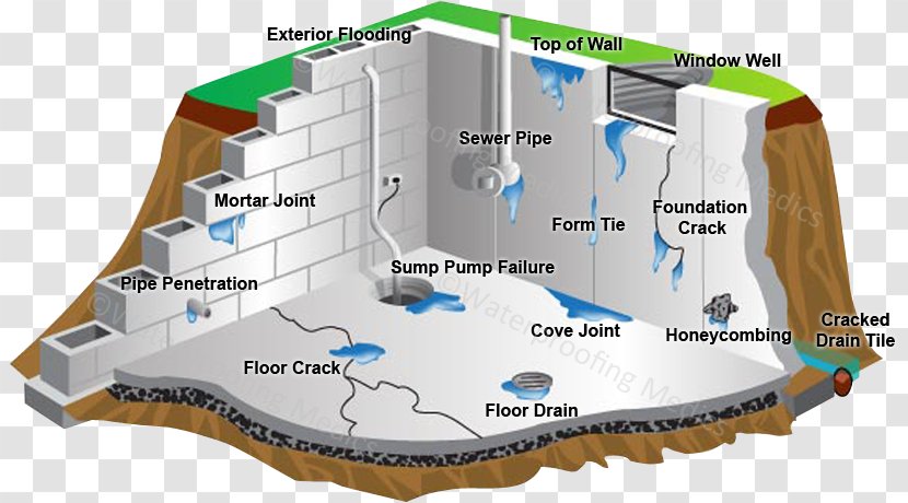 Basement And Foundation Waterproofing Building - Tree - Wall Cracks Transparent PNG