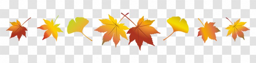 Autumn Line - Watercolor - Leaf Line.Others Transparent PNG