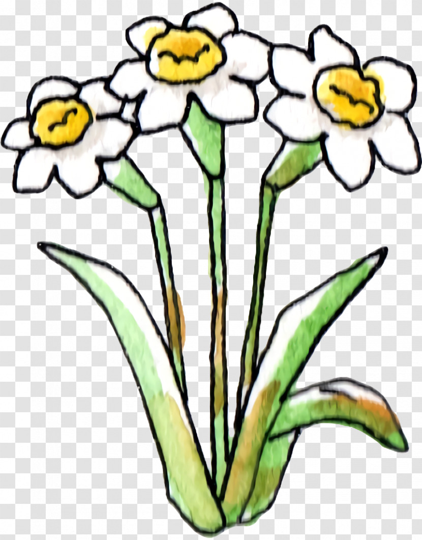 Floral Design Transparent PNG