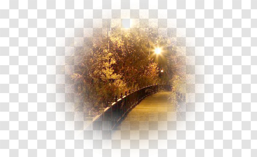 PhotoFiltre PaintShop Pro Microsoft Paint - Landscape - Helal Transparent PNG
