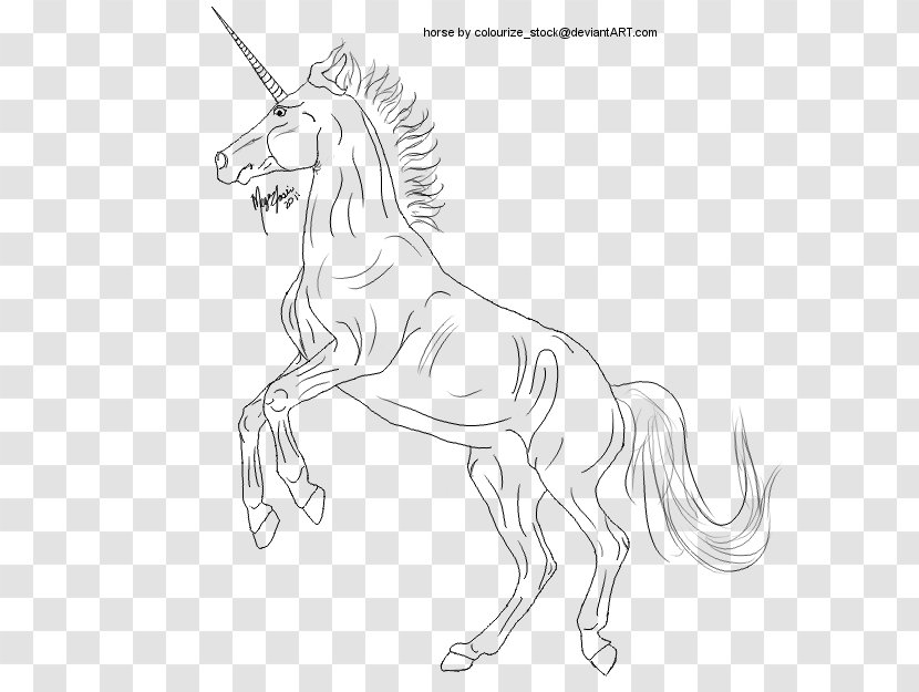 Mustang Unicorn Drawing /m/02csf Pack Animal - White - Hand Drawn Transparent PNG