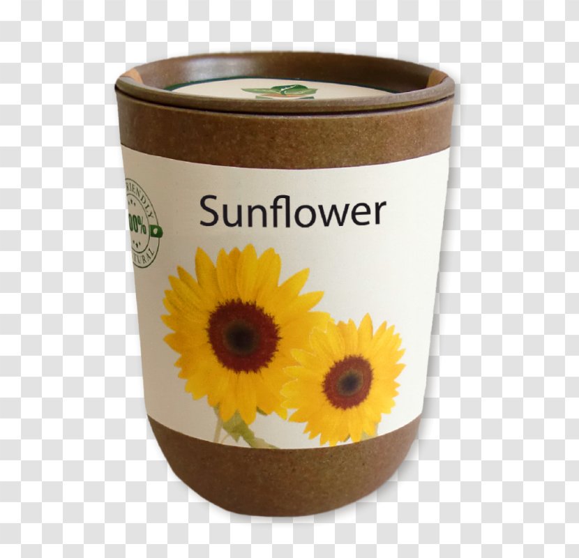 Common Sunflower Seed Blume Artgerecht - Das Kleine Baby-Buch PlantGrass Cube Transparent PNG