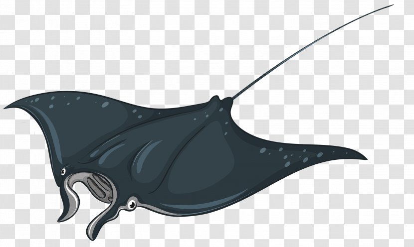 Myliobatoidei Royalty-free Clip Art - Thorntail Stingray - Skateboard Transparent PNG