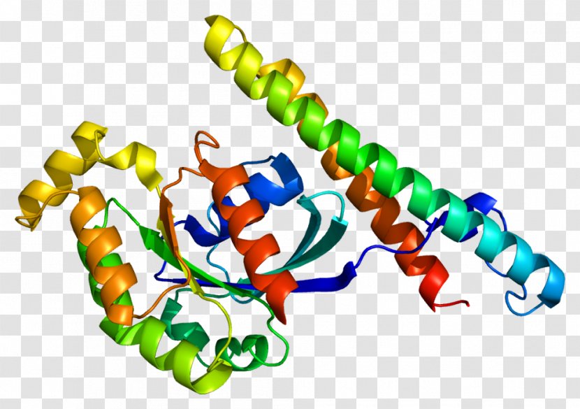 Protein Kinase C N1 Serine/threonine-specific - Flower - Silhouette Transparent PNG