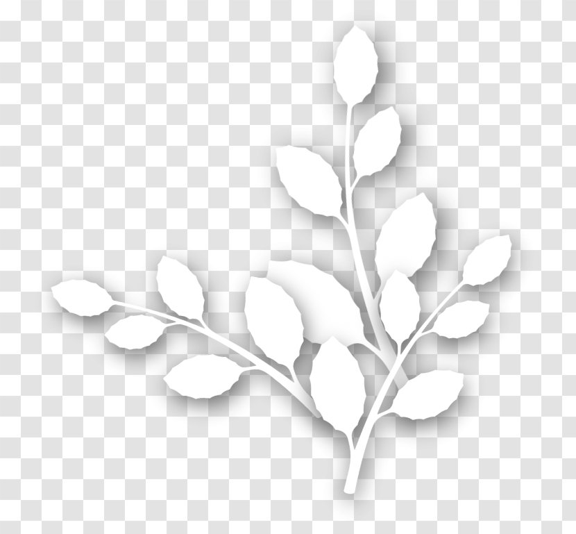 Leaf Petal - Plant Transparent PNG