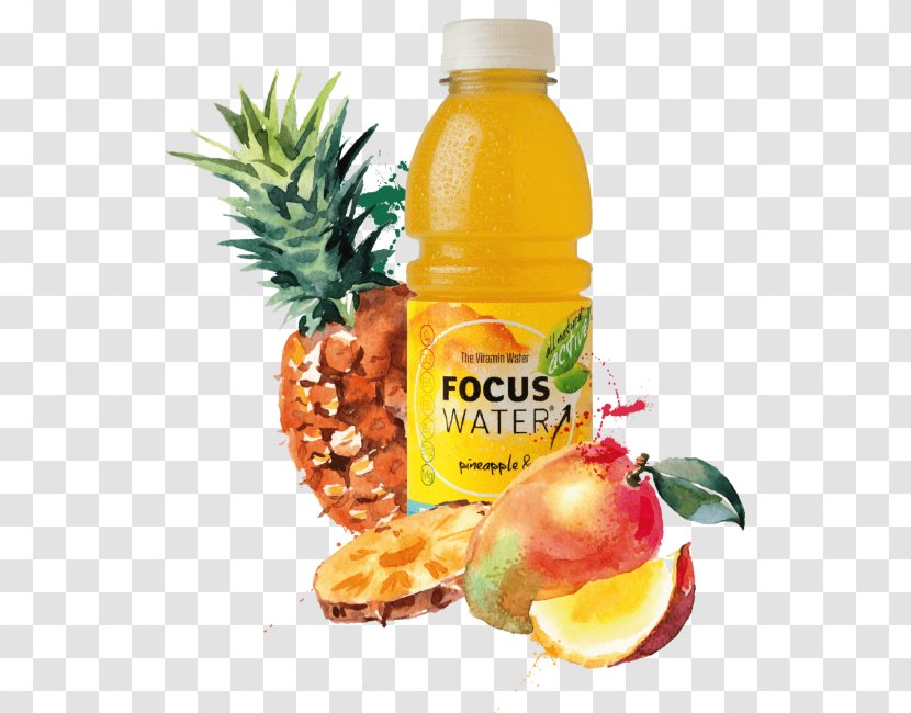 Pineapple Newrest Canonica Services Burrito Food Juice - Mango - Fruit In Water Transparent PNG