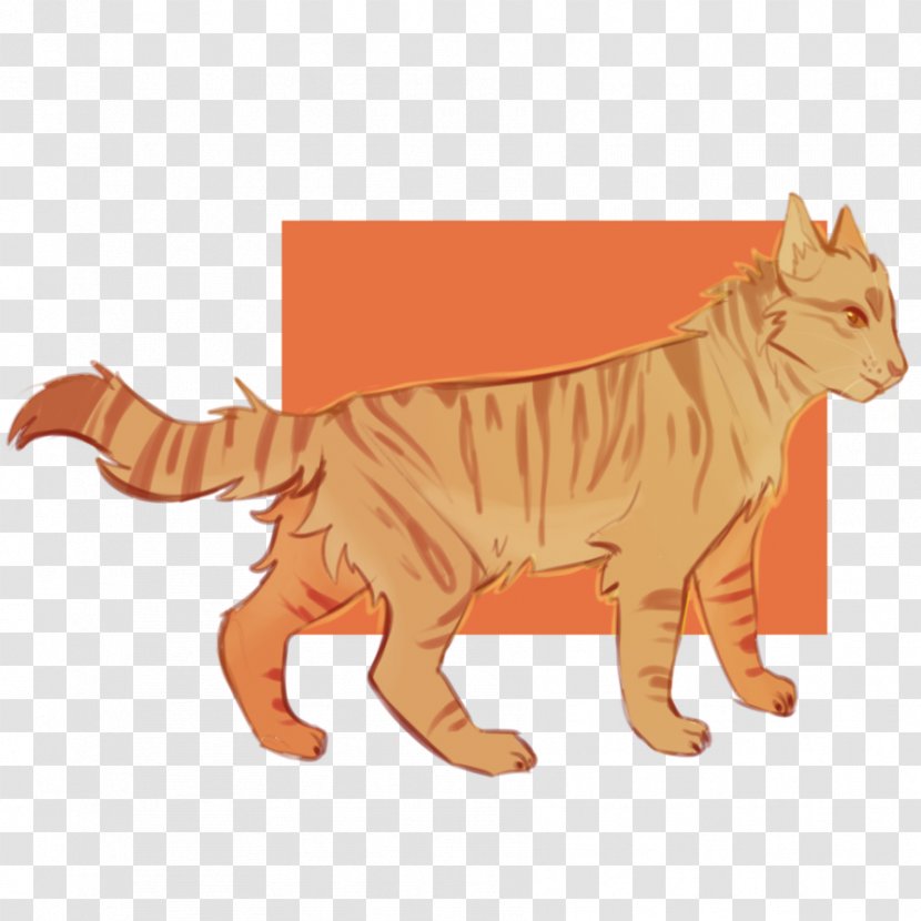Tiger Cat Into The Wild Warriors Thornclaw - Organism Transparent PNG