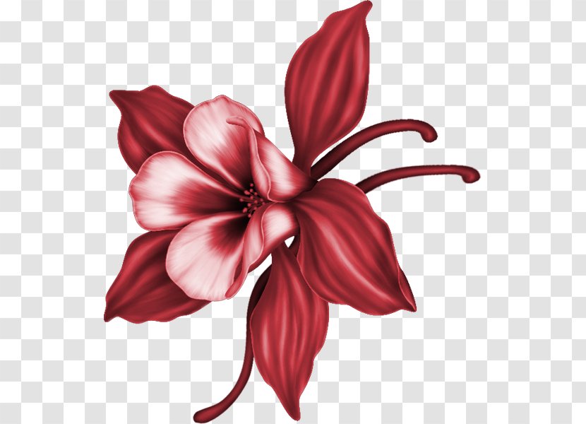 Clip Art - Flower - Design Transparent PNG