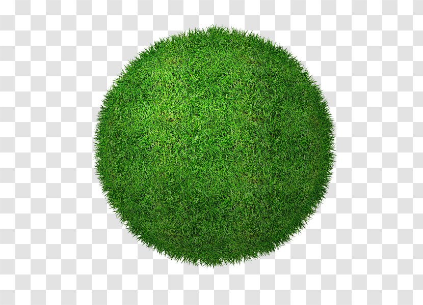 Lawn - Green - Grass Transparent PNG