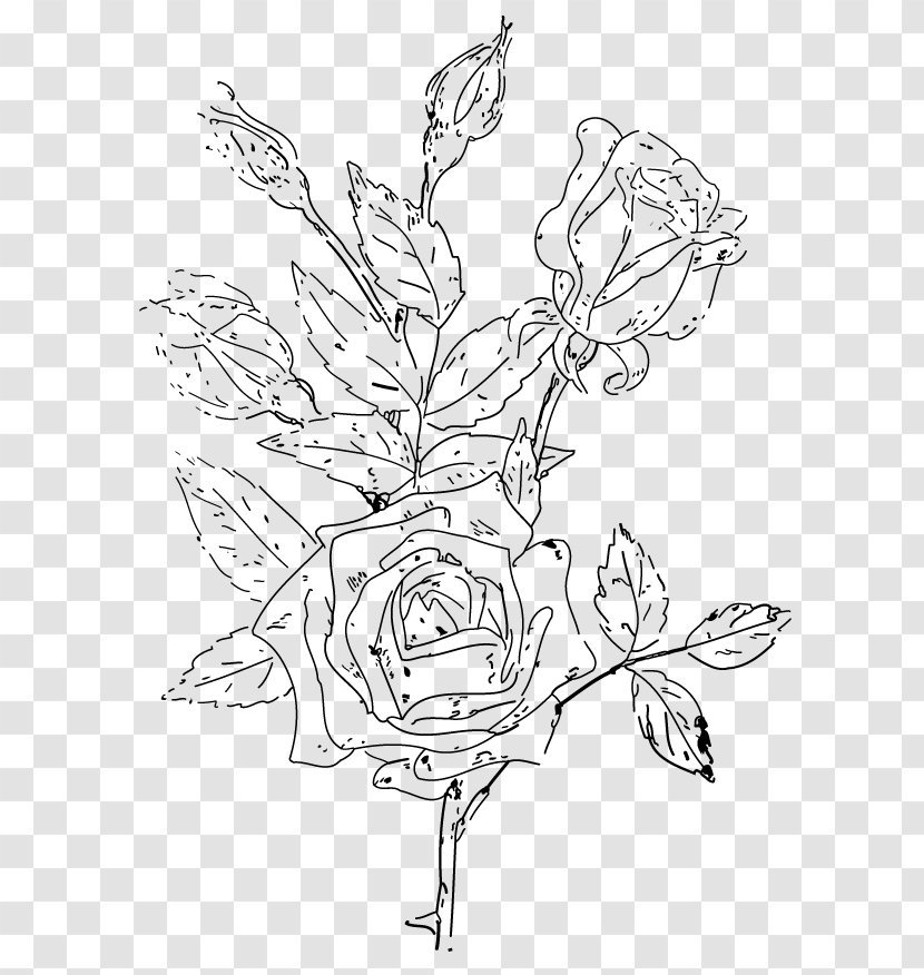 Floral Design Drawing Clip Art - Flora Transparent PNG