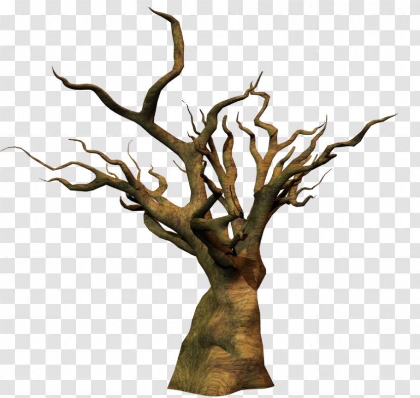 Twig Trunk Wood Tree Snag Transparent PNG