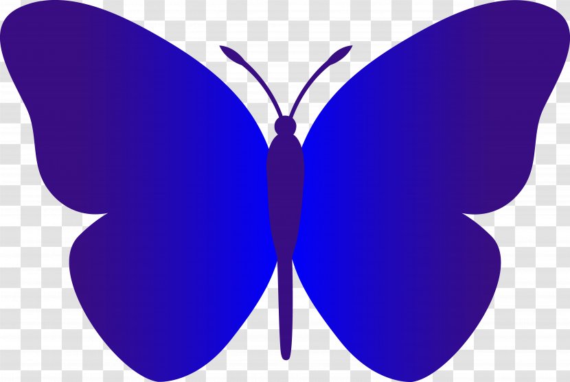 Butterfly Drawing Clip Art - Black And White Transparent PNG