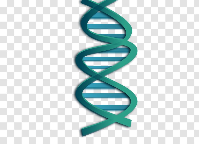 DNA Nucleic Acid Double Helix Genetics Clip Art - Number - Microbiology Cliparts Transparent PNG