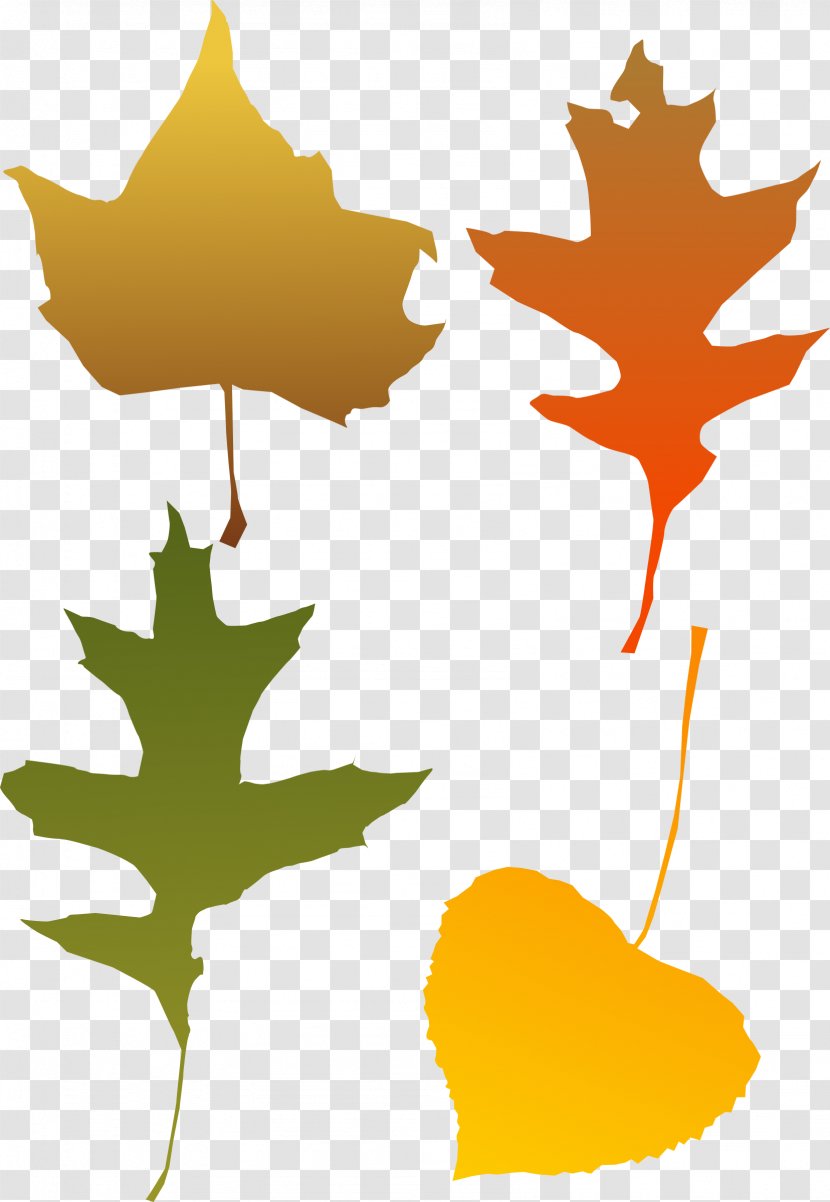 Autumn Leaf Color Clip Art - Flowering Plant - Leaves Transparent PNG