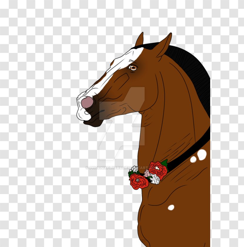 Mane Mustang Rein Stallion - Livestock Transparent PNG