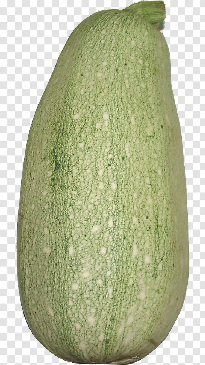 Wax Gourd Cantaloupe Melon Pumpkin - Order Transparent PNG