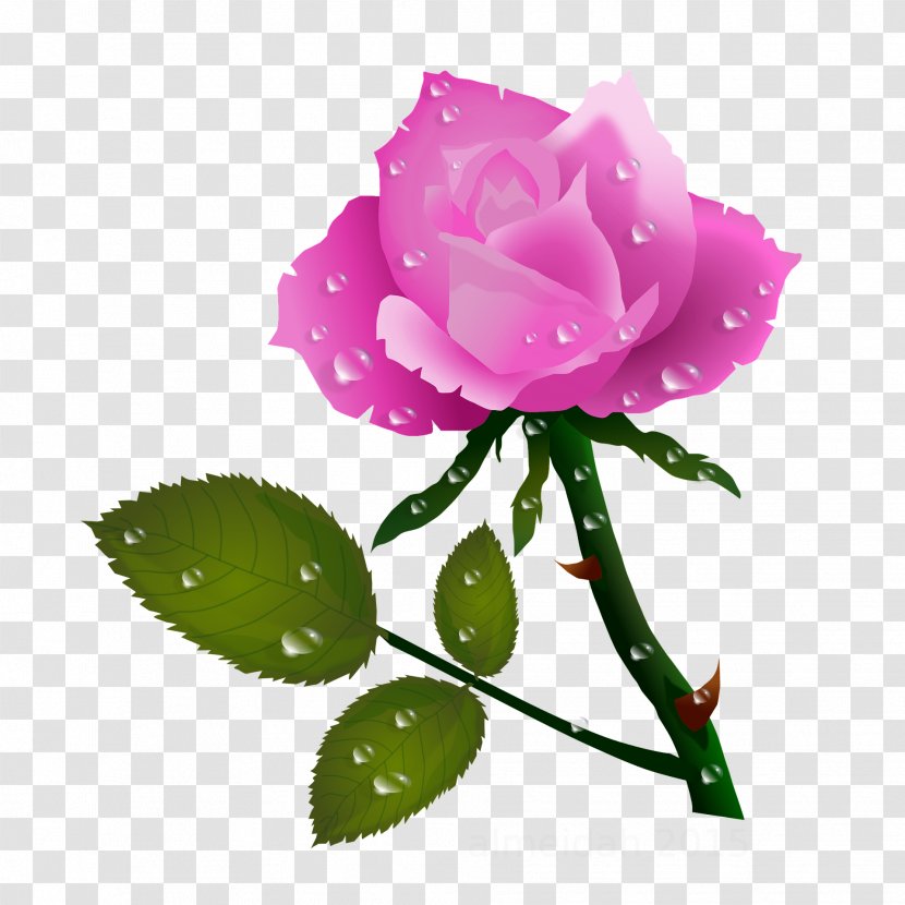 Rose Flower Clip Art - China - Rosas Transparent PNG