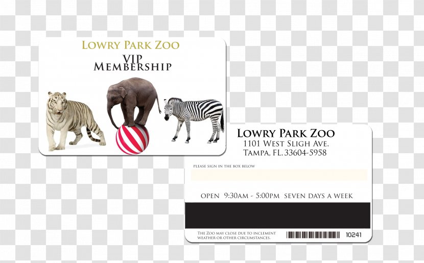 The Elements Of Scrum Elephantidae Tapestry Mammal Book - Printing - Vip Membership Card Transparent PNG