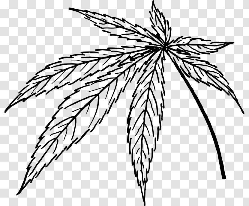 Line Art Clip - Drawing - Tobacco Leaves Transparent PNG