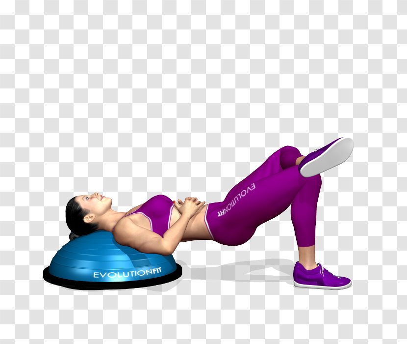 BOSU Balance Exercise Pilates Fitness Centre - Frame - Cartoon Transparent PNG