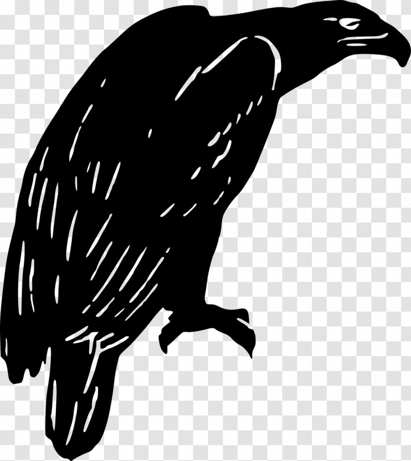 Eagle Clip Art - Wildlife Transparent PNG