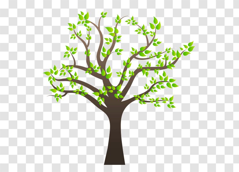 Family Tree Clip Art - Organism - Arboles Transparent PNG