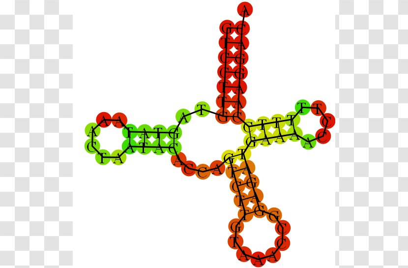 Bioinformatics Summer School Poznańska Jewellery Transparent PNG