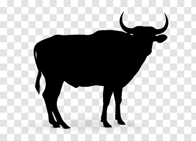 Cattle Vector Graphics Clip Art Silhouette Royalty-free - Bovine - Bull Transparent PNG