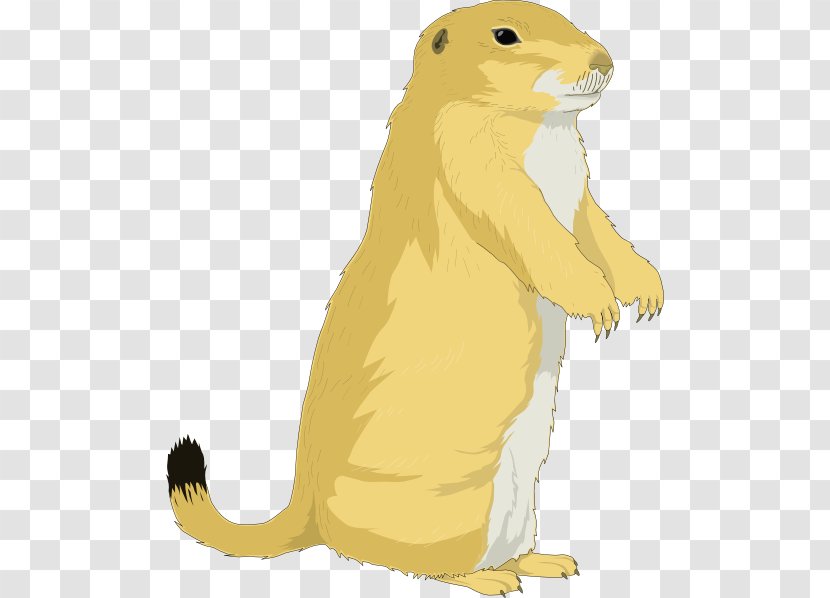 Groundhog Day Squirrel Clip Art - Dat Cliparts Transparent PNG