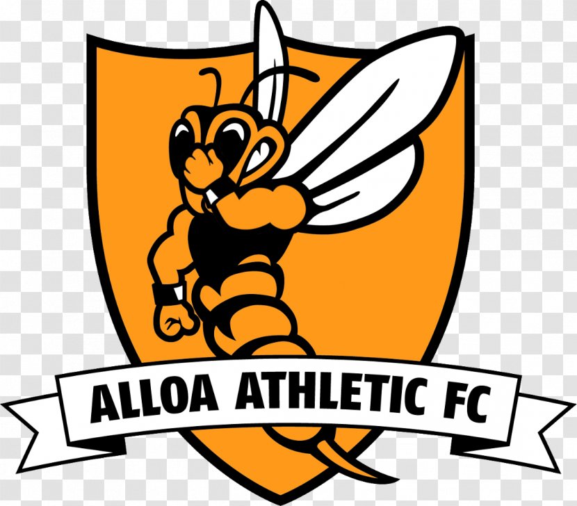 Alloa Athletic F.C. Stranraer Annan Scottish Championship Falkirk - Greenock Morton Fc - Football Transparent PNG