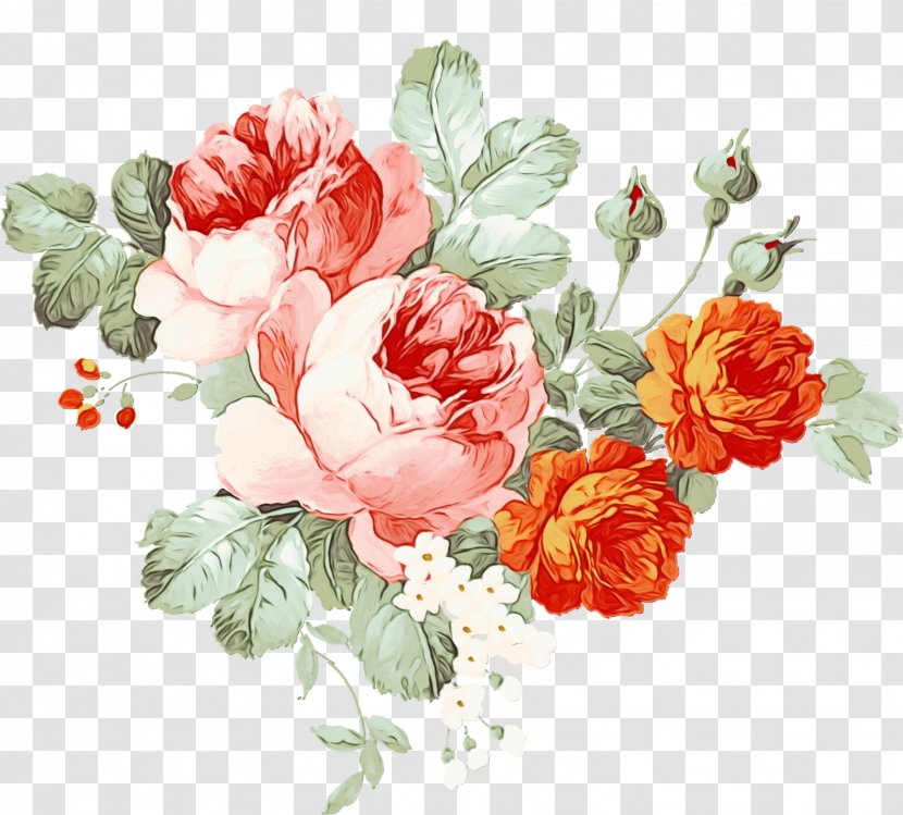 Flower Painting Watercolor Chinese - Rose Order Transparent PNG