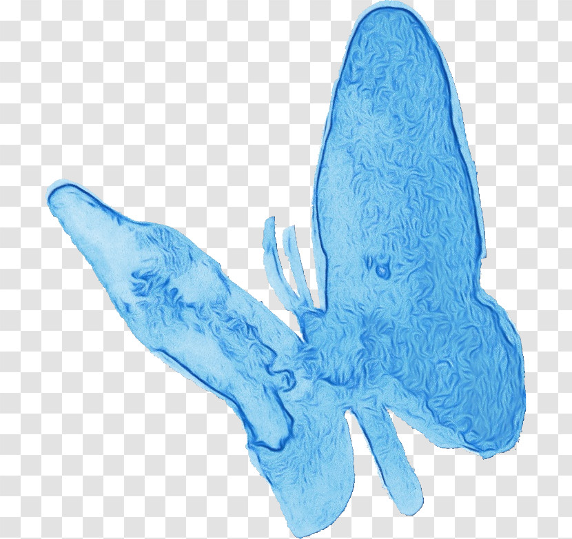 Fish Microsoft Azure Turquoise Science Biology Transparent PNG