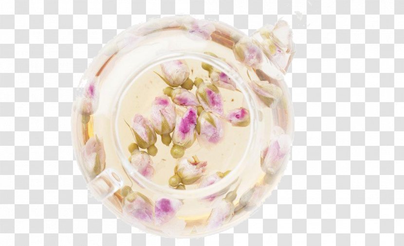 Flowering Tea Chrysanthemum Beach Rose Drinking Transparent PNG