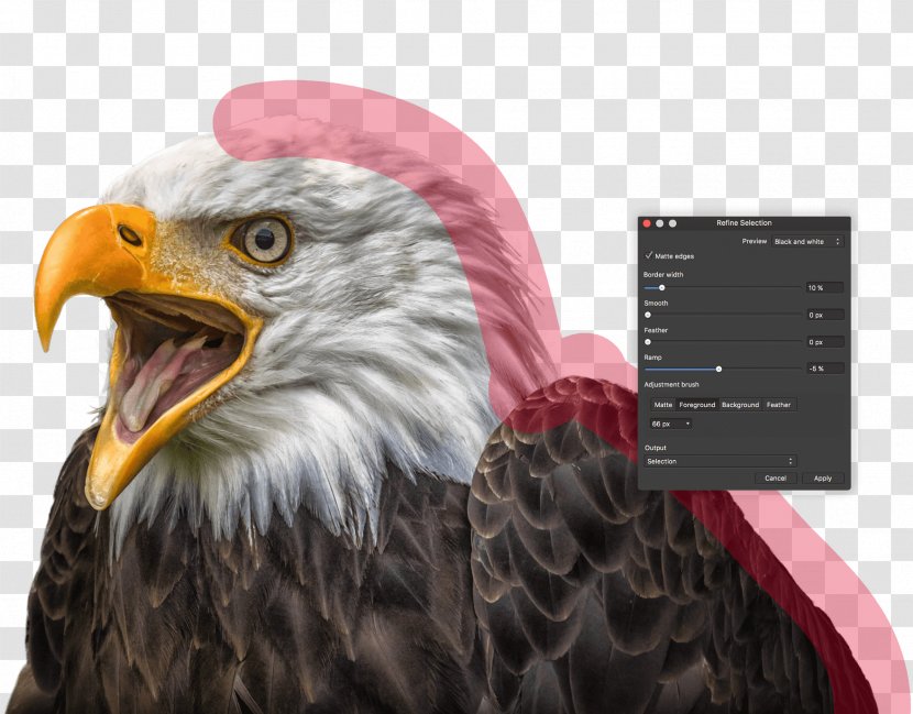 Affinity Photo Computer Software Image Editing Designer Photography - Microsoft Transparent PNG
