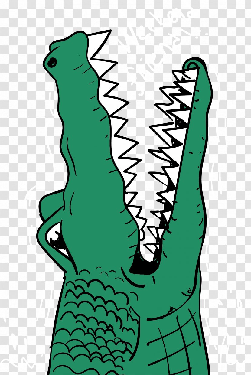 Alligator Crocodiles Illustration - Frame - Green Crocodile Vector Transparent PNG